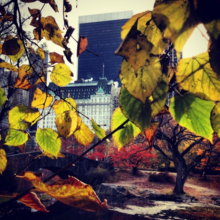 Fall in Central Park. Image copyright Carla Ramirez
